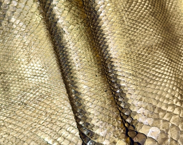 Пітон золотий антик відрізний