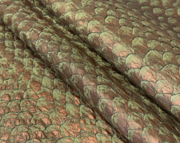 Рыба пираруку бронза