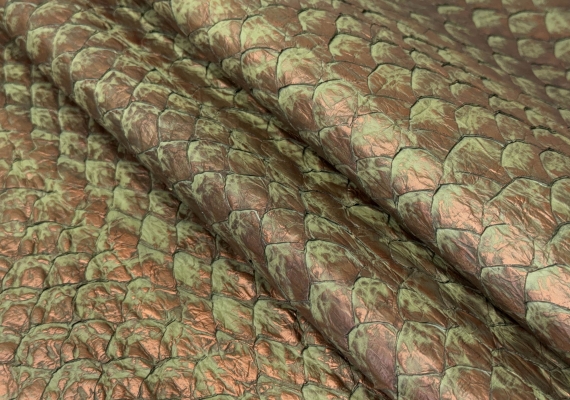 Рыба пираруку бронза