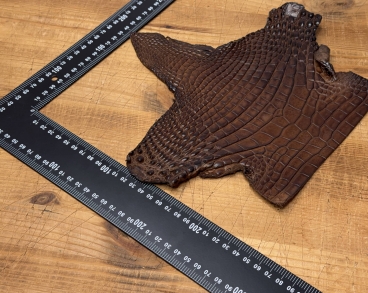 Шея крокодила коричневая полуглянцевая М