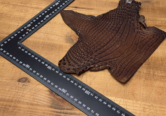 Шея крокодила коричневая полуглянцевая М