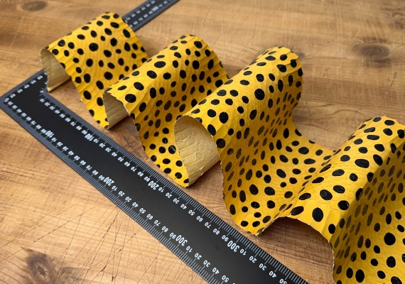 Кожа змеи желтая в горох глянцевая