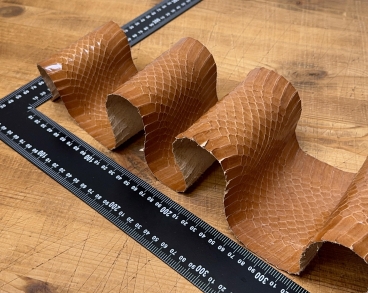 Кожа кобры коньячная глянцевая