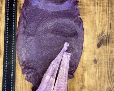 Игуана глянцевая фиолетовая