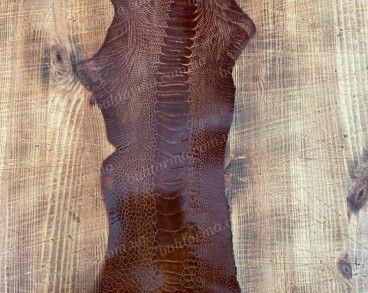 Лапа страуса категория a brown shine
